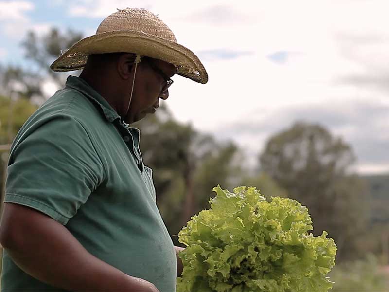 ALIMENTOS ORGANICOS